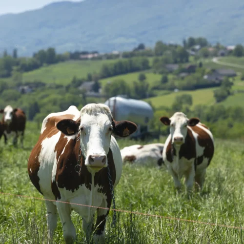 Curso Incorporación a la Empresa Agraria Castilla y León