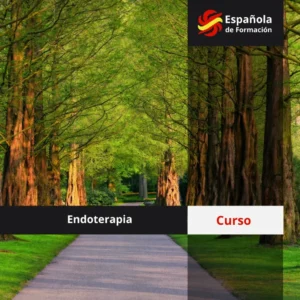 Curso de Endoterapia. Con opción online o semipresencial