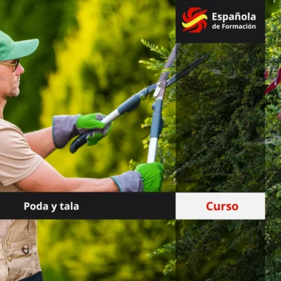 Curso de poda y tala