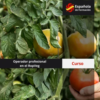 Curso operador profesional en el RopVeg