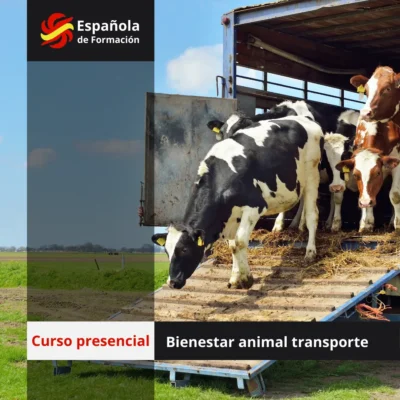 Curso presencial_ Benestar animal transporte