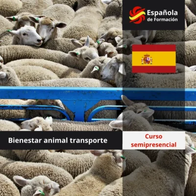 Curso semipresencial_ Bienestar animal transporte