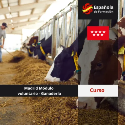 Madrid Módulo voluntario - Ganadería