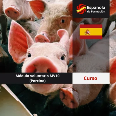 Módulo voluntario 10 (Porcino)