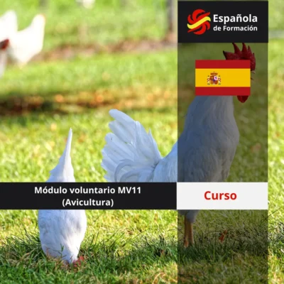 Módulo voluntario 11 (Avicultura)