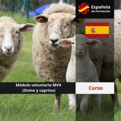 Módulo voluntario 4 (Ovino y caprino)