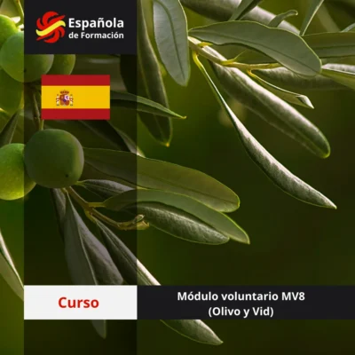 Módulo voluntario 8 (Olivo y Vid)