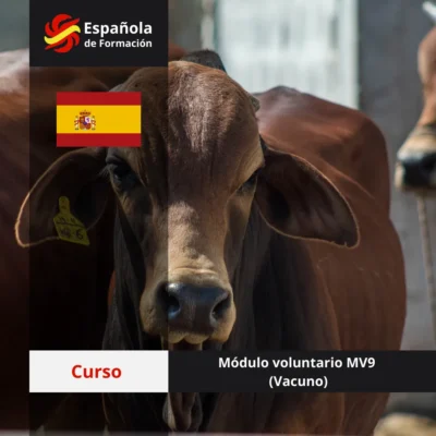 Módulo voluntario 9 (Vacuno)
