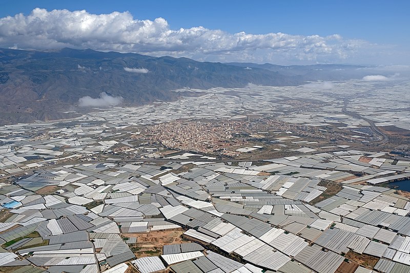 El Ejido mar plastico