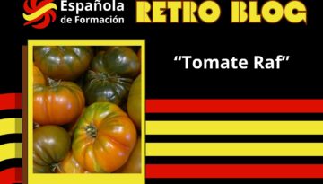 Tomate RAF un símbolo de sabor y resistencia