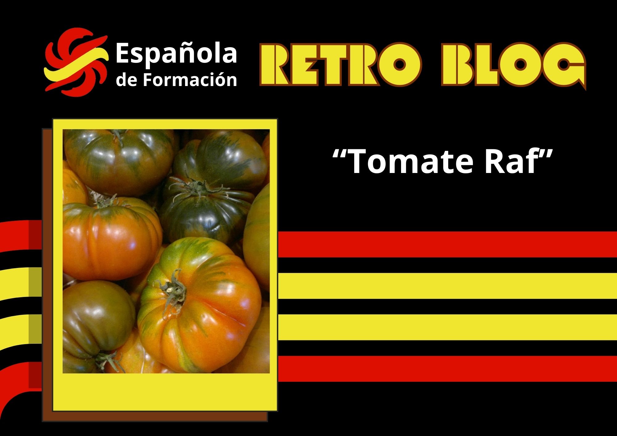 Tomate RAF un símbolo de sabor y resistencia