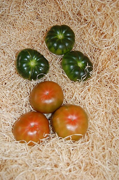 Tomates_cesta