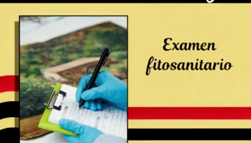 Examen de fitosanitarios