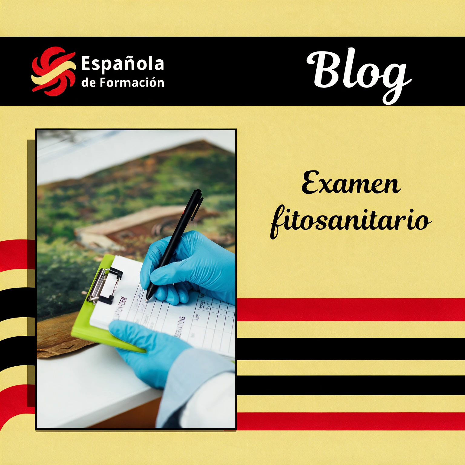 Examen de fitosanitarios