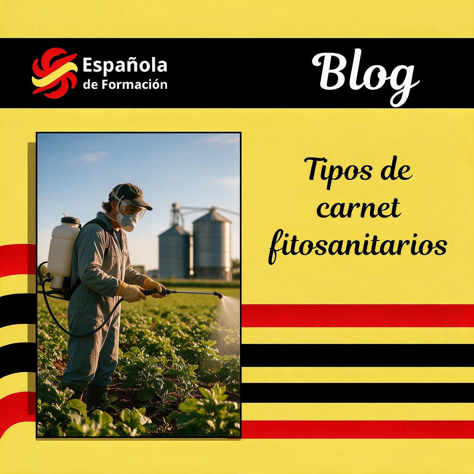 Tipos de carnet fitosanitarios