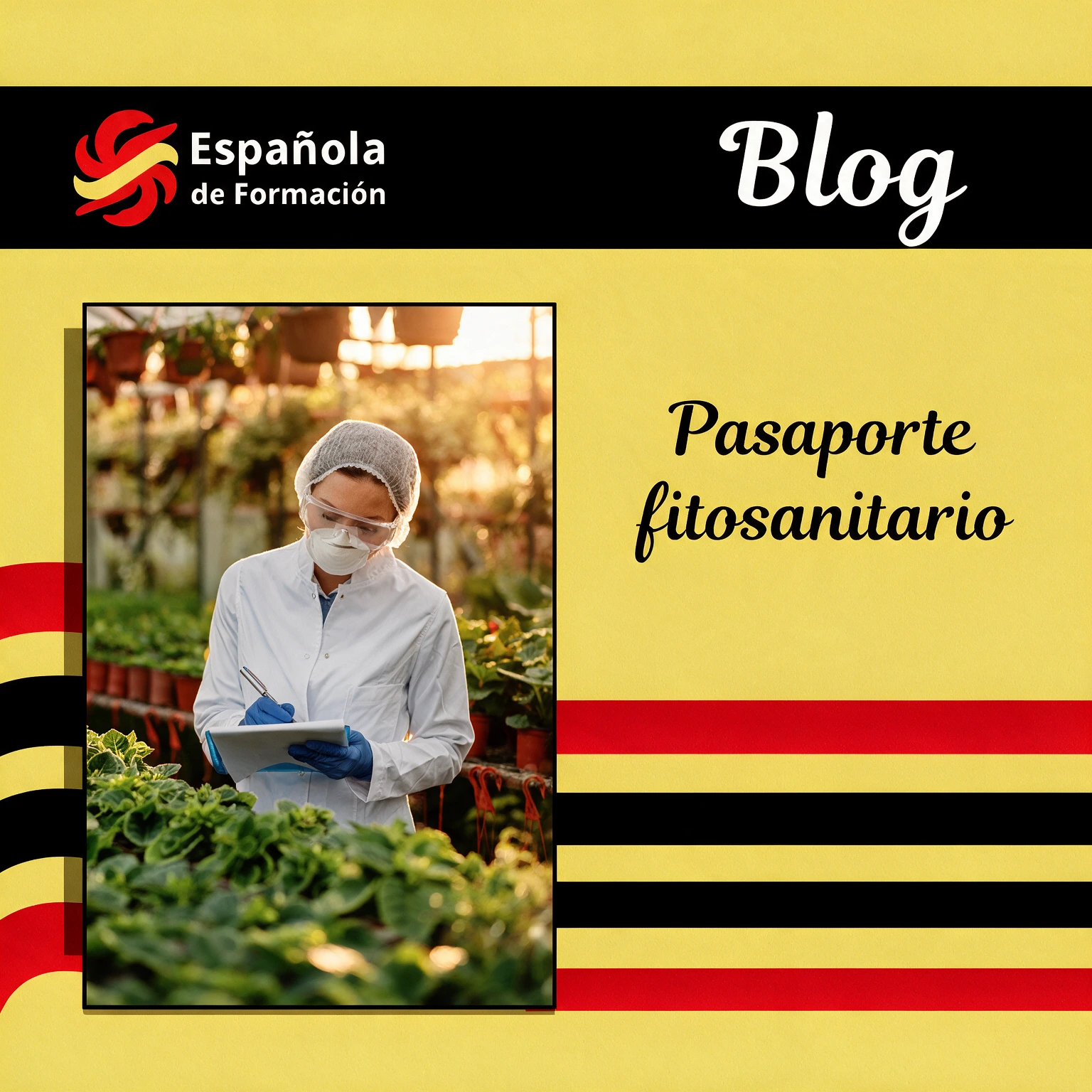 Pasaporte fitosanitario